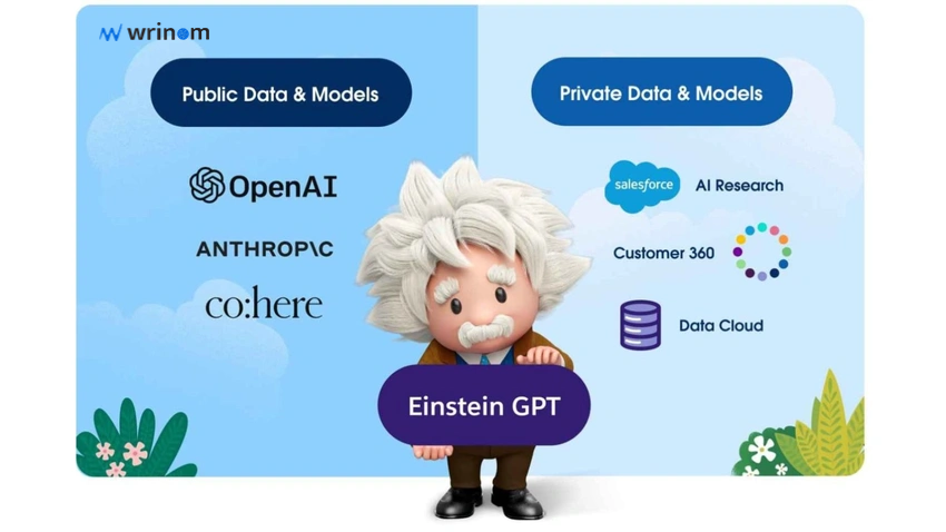 Revolutionize Your Business With Salesforce's AI IMG