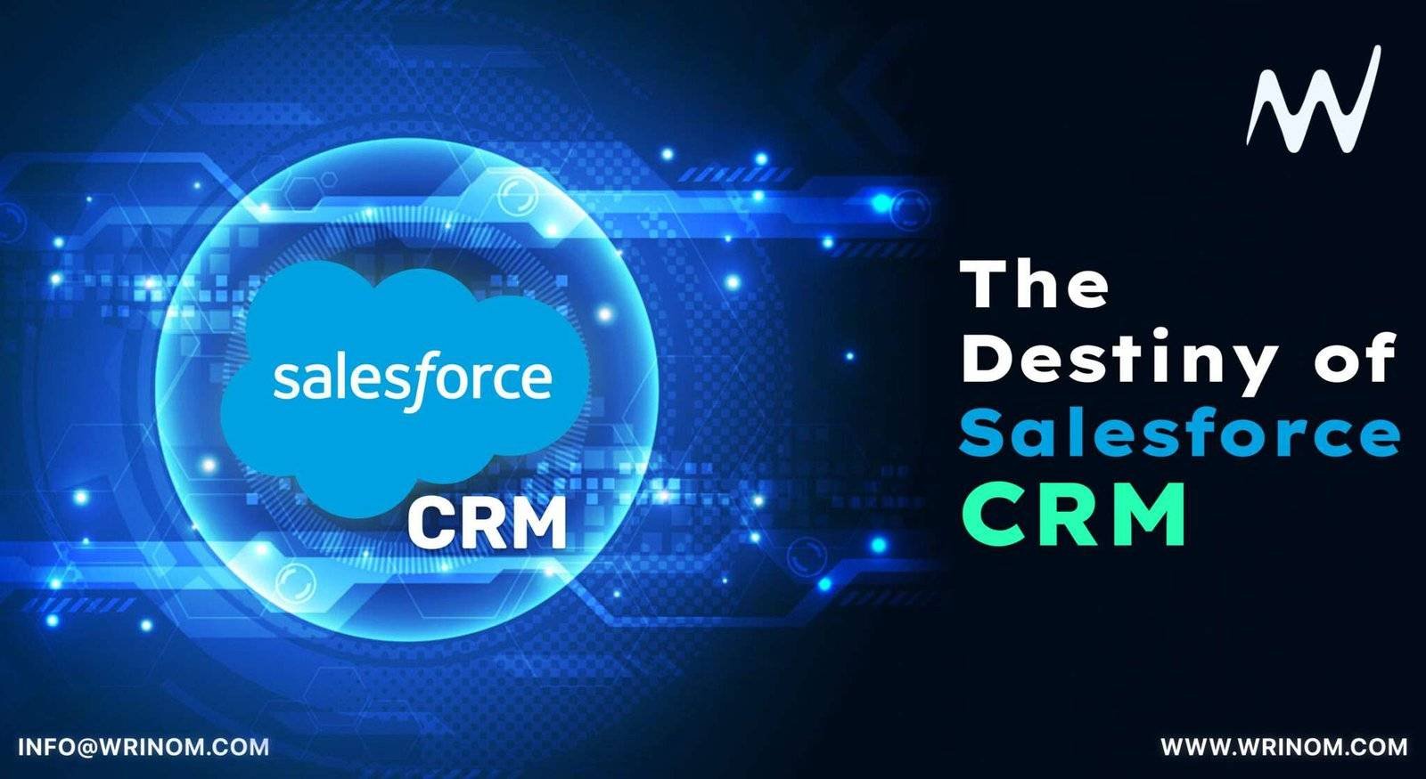 Salesforce: Pioneering the Future of Business Solutions - Wrinom